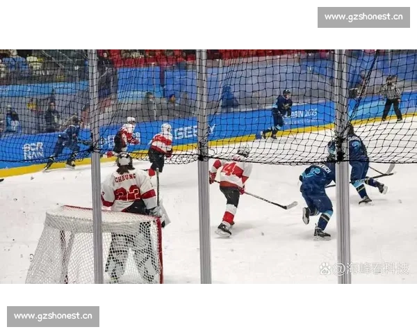 激情碰撞冰面争锋 冰球赛场精彩瞬间全记录 - 副本 (2) - 副本