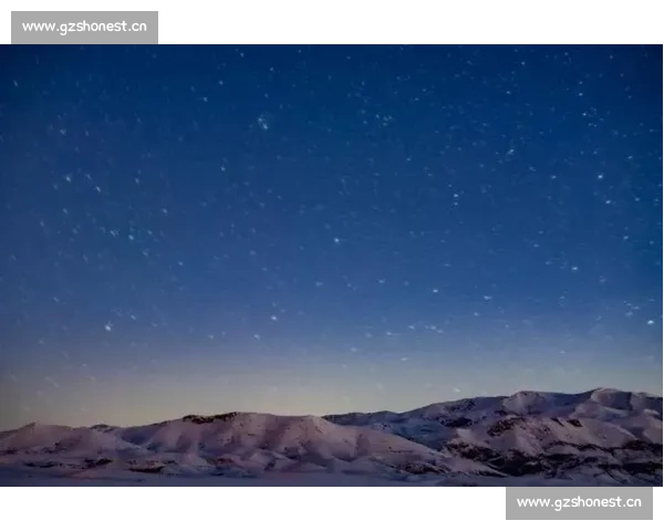 竞技场上核心技术动作解析与战术运用全面指南 - 副本 (2) - 副本